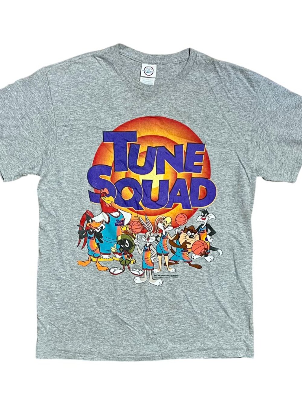 Tune Squad Looney Tunes Legacy Lebron Gray Graphic T-Shirt, Men's Medium